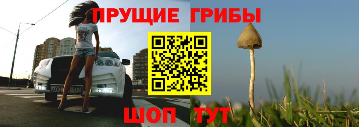 Салават  Галлюциногенные грибы ЛСД  Вход с VPN  Галлюциногенные грибы Psilocybe 
